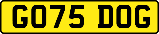 GO75DOG