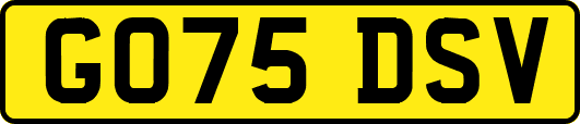 GO75DSV