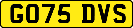 GO75DVS