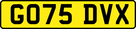 GO75DVX