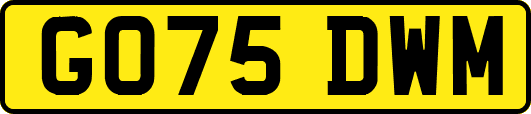 GO75DWM