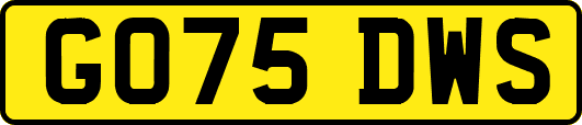 GO75DWS
