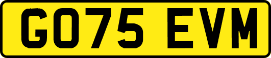 GO75EVM