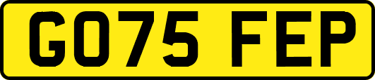 GO75FEP