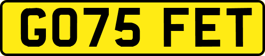 GO75FET