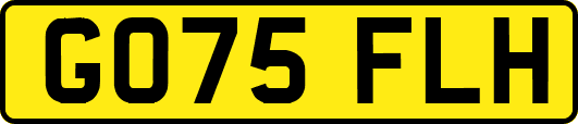 GO75FLH