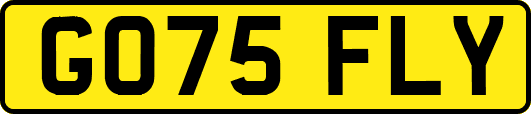 GO75FLY