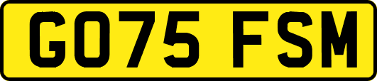 GO75FSM