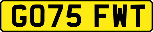 GO75FWT