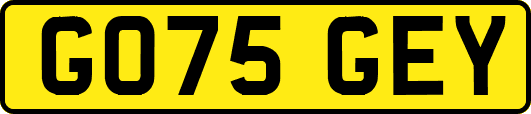 GO75GEY