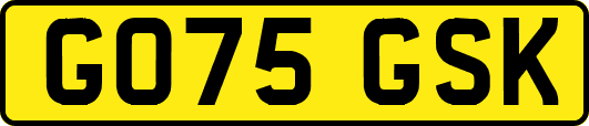 GO75GSK