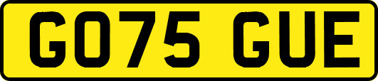 GO75GUE