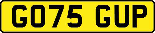GO75GUP