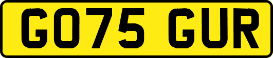 GO75GUR