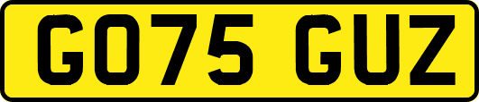 GO75GUZ