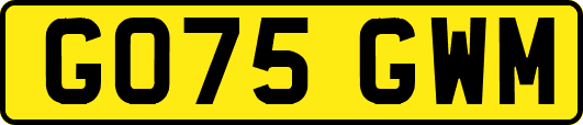 GO75GWM