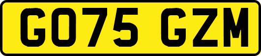 GO75GZM