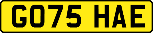 GO75HAE