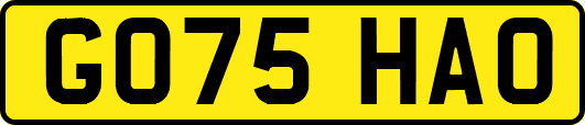 GO75HAO