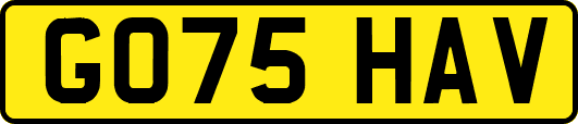 GO75HAV