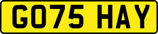 GO75HAY