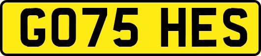 GO75HES