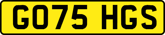GO75HGS