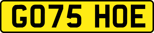 GO75HOE