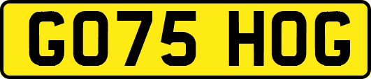 GO75HOG