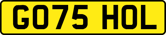 GO75HOL