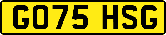 GO75HSG