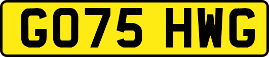 GO75HWG