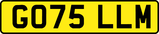 GO75LLM