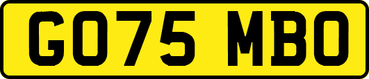 GO75MBO