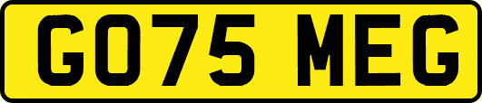 GO75MEG