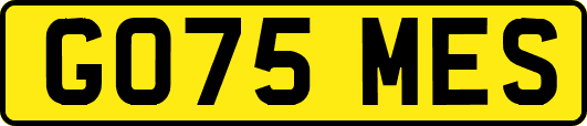 GO75MES