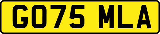 GO75MLA
