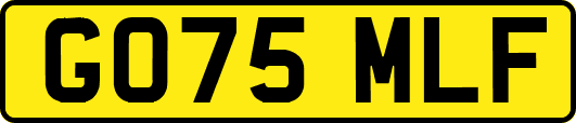 GO75MLF