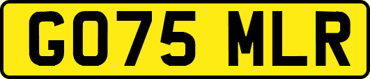 GO75MLR