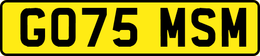 GO75MSM