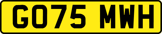 GO75MWH