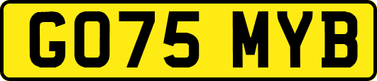 GO75MYB