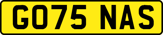 GO75NAS