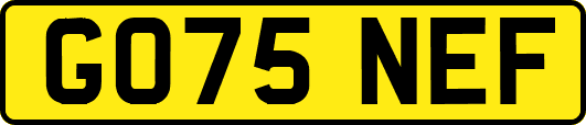 GO75NEF