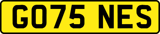 GO75NES