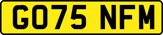 GO75NFM