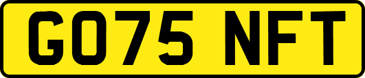GO75NFT