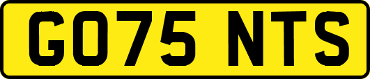 GO75NTS