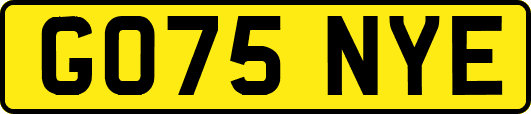 GO75NYE