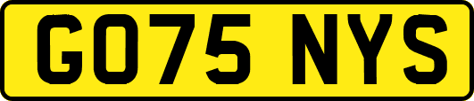 GO75NYS